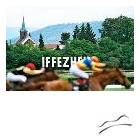 1102943780