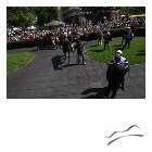 1306830706