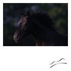 1645018561