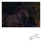 1645020526