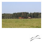 1631869569