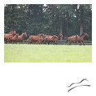 1250531147