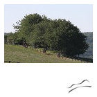 1590593787